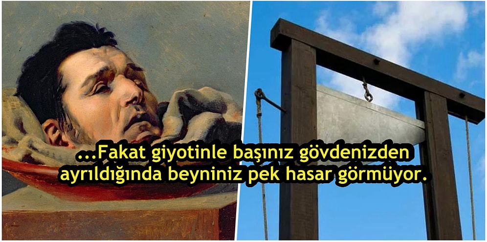 Şu an Kafanız Kopsa Neler Olurdu? ‘Başınızdan’ Geçecekleri Adım Adım Anlatıyoruz