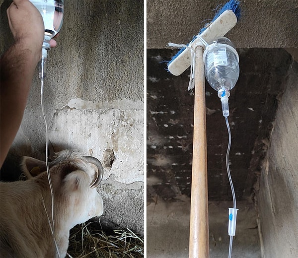 14. В аптеке кончились держатели для капельниц. Предложили подержать руками. Я продержался полбутылки...