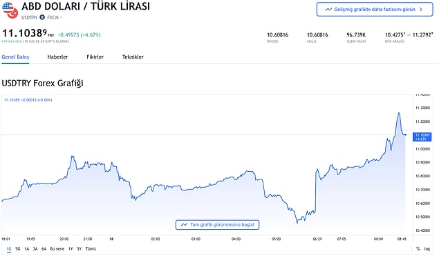 Dolarda yeni zirve 11,29