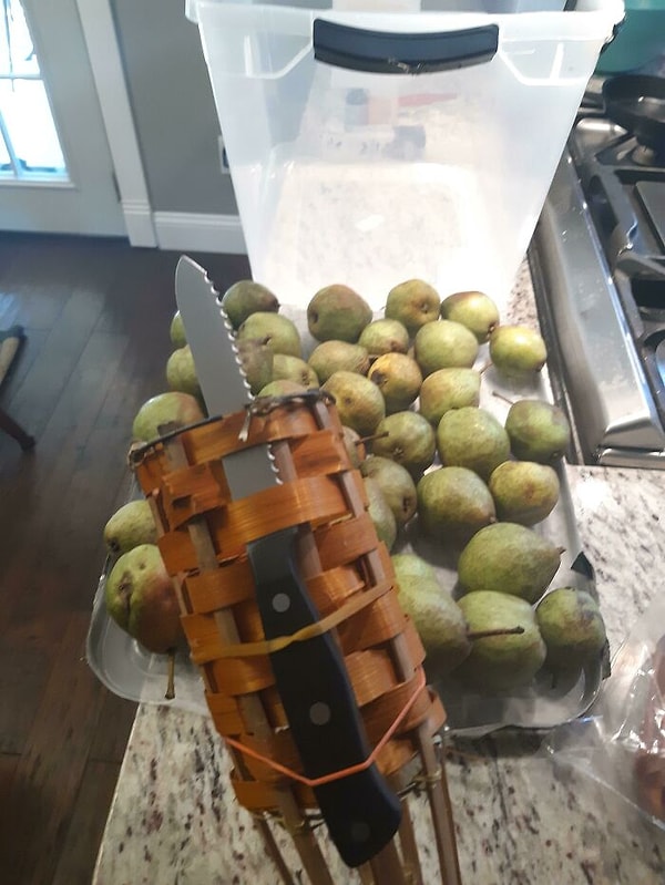 15. Мое решение проблемы высоко висящих фруктов