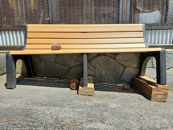 20. Я починилЬ