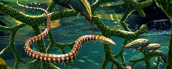 Tam gelişmemiş 4 ayağı ile dikkatleri üzerine çeken fosilin yılanlarla hiçbir ortak yanı olmadığı saptandı.