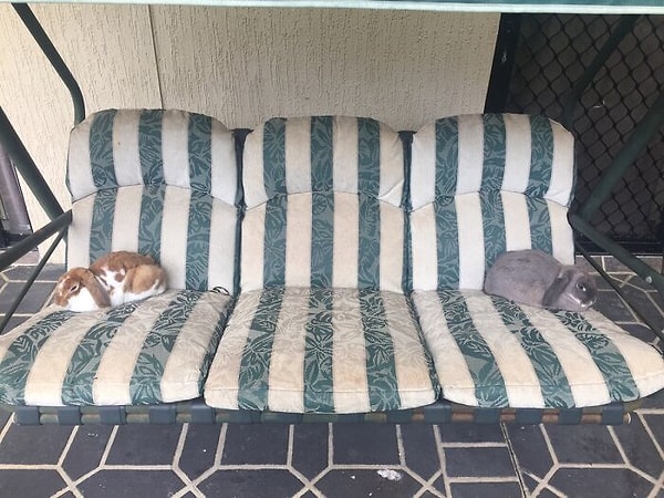 10. Кажется, они поссорились