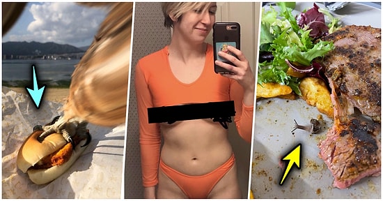 Çöle Düşse Kutup Ayılarıyla Karşılaşıp Birtakım Tatsız Olaylar Yaşayabilecek 15 Bahtsız Kişi