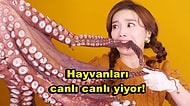Sadece Daha Fazla İzlenme İçin Videolarında Hayvanları Canlı Canlı Yiyerek Tepkileri Üzerine Çeken YouTuber