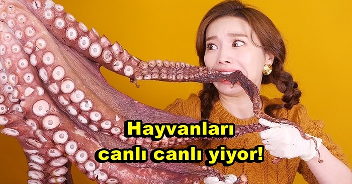 Sadece Daha Fazla İzlenme İçin Videolarında Hayvanları Canlı Canlı Yiyerek Tepkileri Üzerine Çeken YouTuber