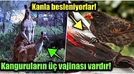 Doğanın Korkutucu Yüzünü İliklerinize Kadar Hissetmenize Sebep Olacak Birbirinden Ürkütücü 15 Yeni Fotoğraf