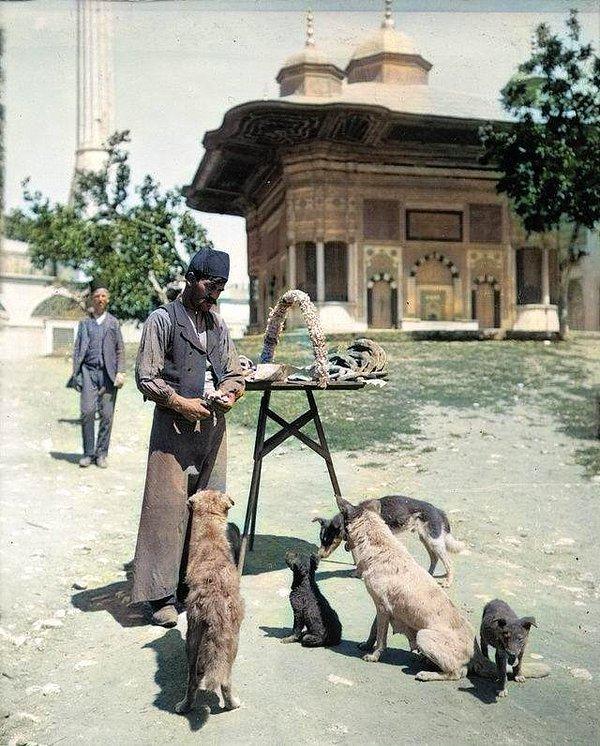 16. Köpekleri besleyen simit satıcısı, 1880.