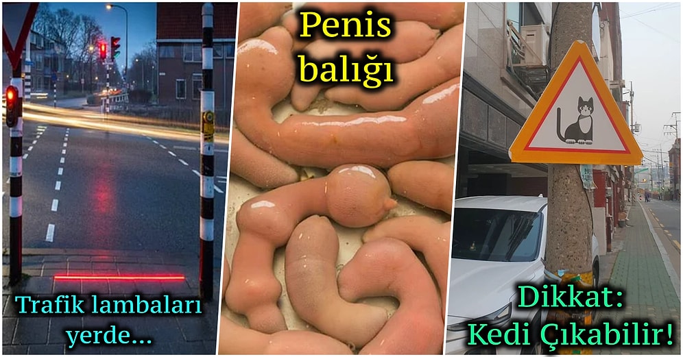 Dünya Üzerinde Sadece Güney Kore'de Karşılaşabileceğiniz Birbirinden Fantastik 20 Görüntü