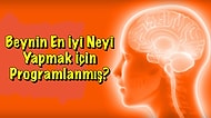 Beynin En İyi Neyi Yapmak İçin Programlanmış?