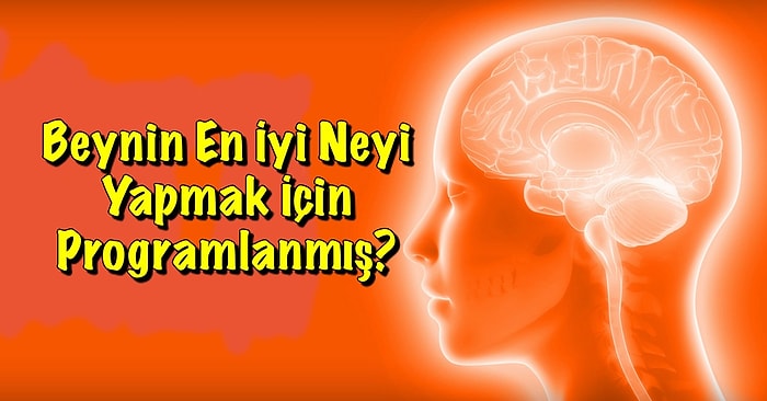 Beynin En İyi Neyi Yapmak İçin Programlanmış?