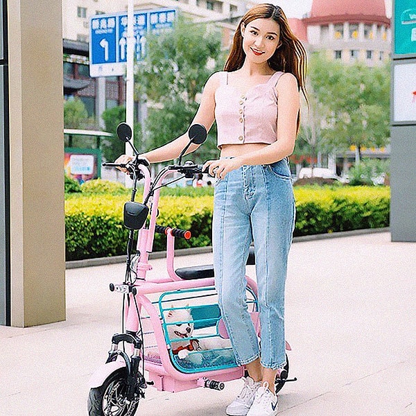 Японцы изобрели мопет - электровелосипед, подходящий для езды с домашними животными.