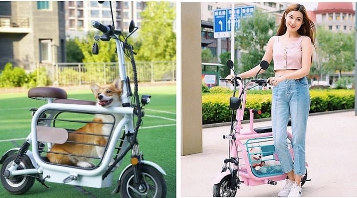 Японцы изобрели практичный электрический велосипед, на котором можно перевозить домашних животных