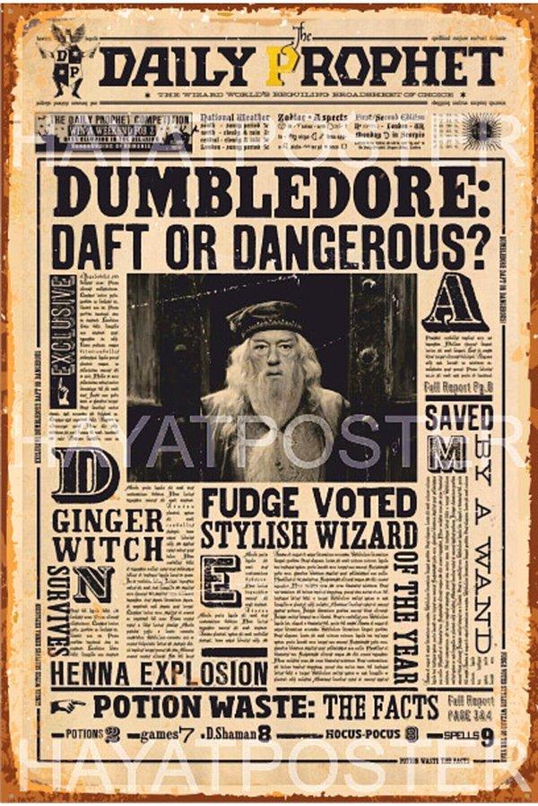 Harry Potter Gazetesi Dumbledore vintage ahşap poster