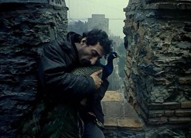 17. Tabutta Rövaşata (Derviş Zaim, 1996)