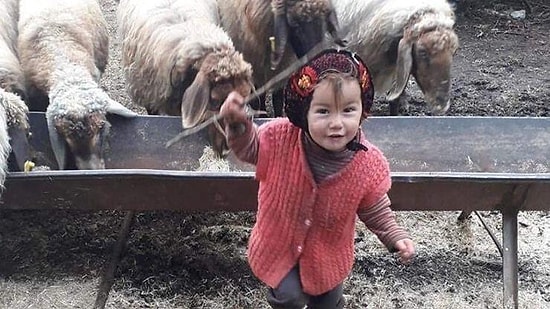 Dede Neden Tutuklandı? Müslüme'nin Annesinden Açıklamalar