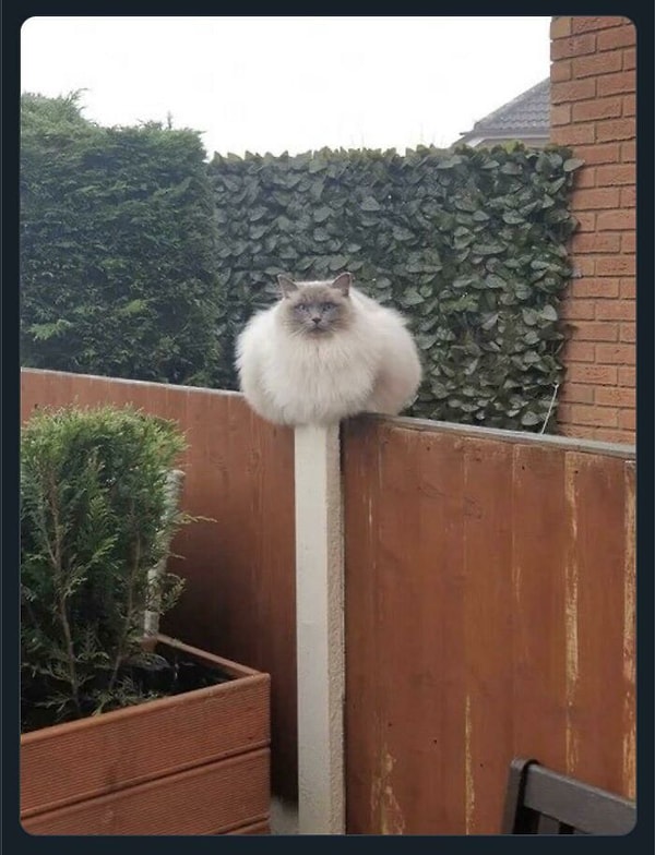 1. Ну и размерчик