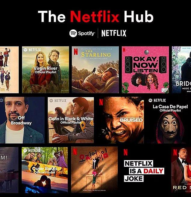 Netflix Hub Geliyor