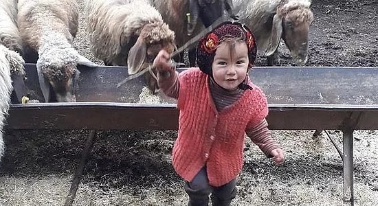 Hayatını Kaybeden Müslüme Yağal Olayında Son Durum: Müslüme Neden Öldü, Dedesi Neden Tutuklandı?