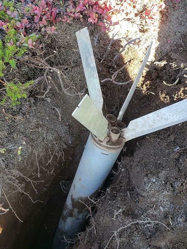 10. Мы нашли ракету, когда собирали чернику