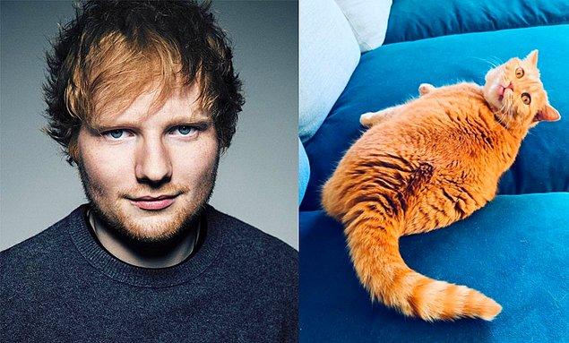 9. Liste başından düşmeyen genç şarkıcı Ed Sheeran da kedileri için ayrı bir hesap açarak hayranlarıyla şirin pozlar paylaşıyor.