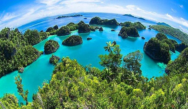 6. Dünya yüzeyindeki en büyük ada hangisidir?
