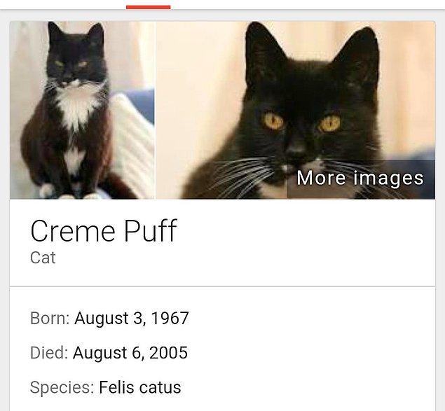 Dünya üzerinde yaşamış en yaşlı kedi unvanı ise 2005 yılında ölen Creme Puff'a aitti.