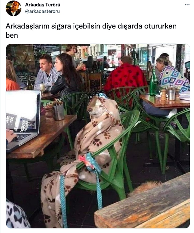 15. 😂