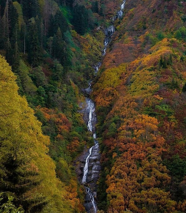 4. Rize denilince ilk akla gelenlerden; Ayder Yaylası...