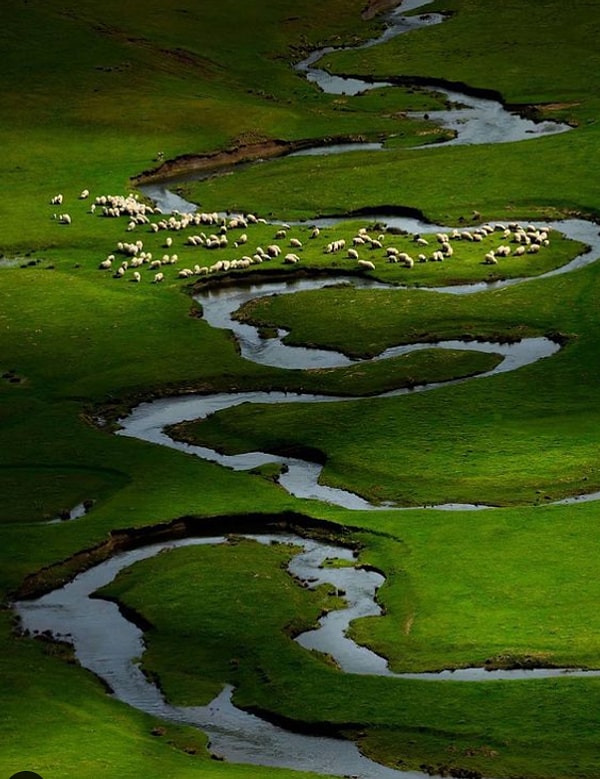 19. Yayla şenliklerinin adresi Perşembe Yaylası...