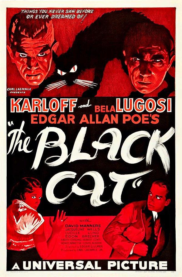 10. Edgar Allan Poe'nun aynı adlı öyküsünden, Edgar G. Ulmer tarafından uyarlanan 1934 yapımı The Black Cat  filminin afişi 334.600$'a bir koleksiyonere satıldı.