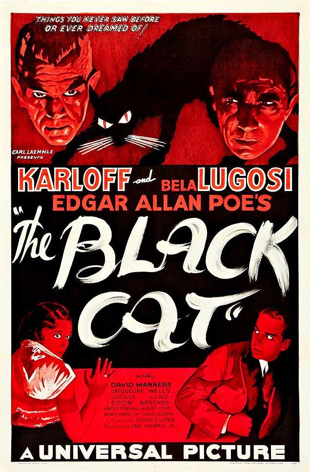 10. Edgar Allan Poe'nun aynı adlı öyküsünden, Edgar G. Ulmer tarafından uyarlanan 1934 yapımı The Black Cat  filminin afişi 334.600$'a bir koleksiyonere satıldı.