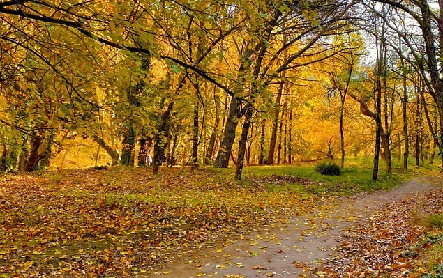 13. Değirmenboğazı Tabiat Parkı