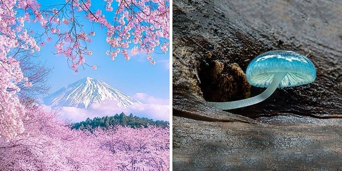 16 невероятных фотографий, увидев которые у людей перехватило дух от величия природы