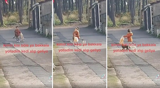 Ekmek Almaya Diye Bakkala Giden Ufaklığın Kedileri Toplayıp Geri Geldiği Efsane Anlar