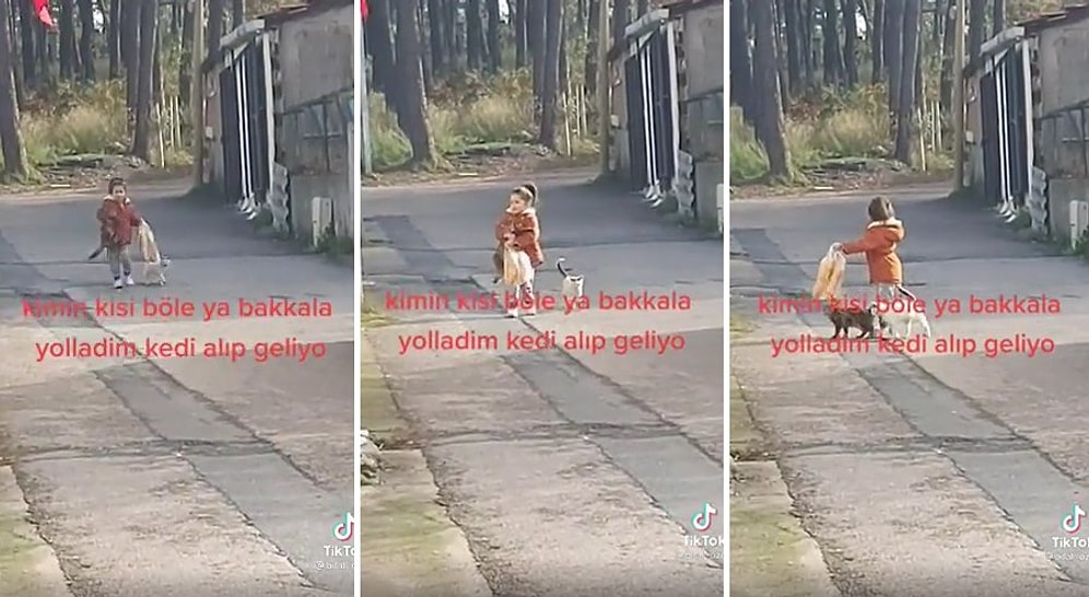 Ekmek Almaya Diye Bakkala Giden Ufaklığın Kedileri Toplayıp Geri Geldiği Efsane Anlar
