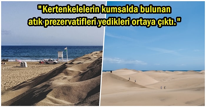 İspanya'nın Ünlü Kum Tepelerinde Cinsel İlişkiye Girip Bölgeyi Kirleten Turistler Tartışma Konusu Oldu!