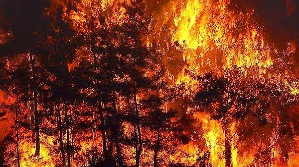 Ayrıca Kocaeli - Sakarya sınırındaki Eşme  bölgesinde şiddetli lodos nedeniyle  çıkan orman yangını 6 saatte söndürülmüş,