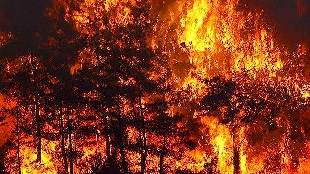 Ayrıca Kocaeli - Sakarya sınırındaki Eşme  bölgesinde şiddetli lodos nedeniyle  çıkan orman yangını 6 saatte söndürülmüş,