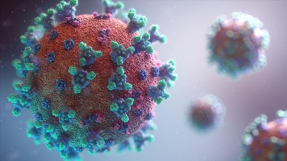 G7 Ülkelerinin Sağlık Bakanları Omicron Gündemiyle Acil Toplandı