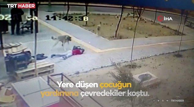 2. Kayseri'nin Tomarza ilçesinde bir köpeğin yolda yürüyen çocuğu kovalaması güvenlik kameralarına yansıdı. Kaçarken düşen çocuğu, köpeğe müdahale eden bir vatandaş kurtardı.