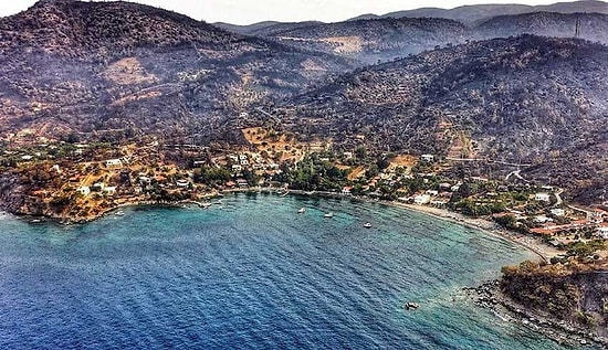 Tesadüf mü? Bodrum'da Köylülerin Yanan Zeytinlikleri YEKA Olarak İlan Edildi...