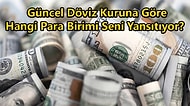 Güncel Döviz Kuruna Göre Hangi Para Birimi Seni Yansıtıyor?