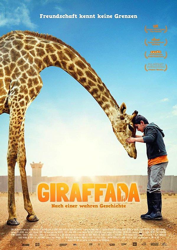 13 Aralık Giraffada (Zürafa)