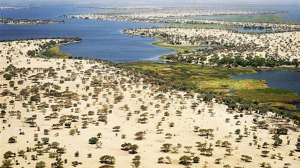 4. Orta Afrika'daki Çad Gölü, Mega Çad olarak adlandırılan eski bir iç denizin kalıntısıdır.
