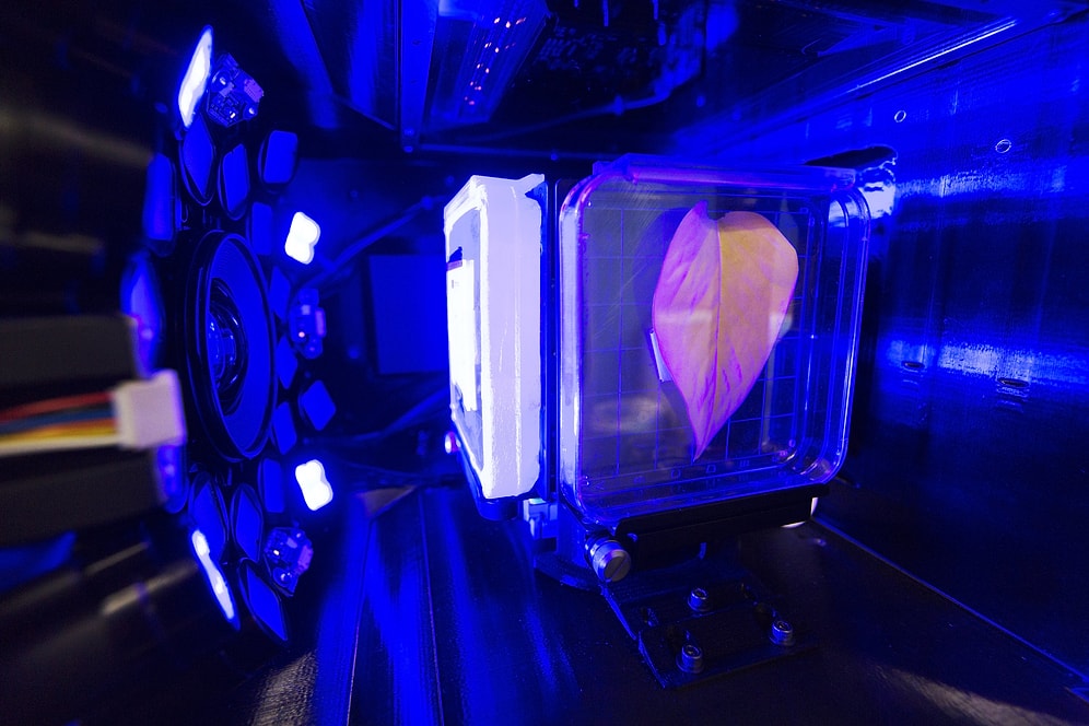 Bilim İnsanları Uyardı: 'Gönderdiğimiz Araçlar Uzaylı Organizmalar ile Dönebilir'