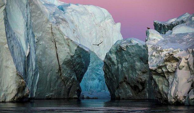 31. Hannibal Hanschke imzalı fotoğrafta Grönland'da bulunan buzdağları karelendi.
