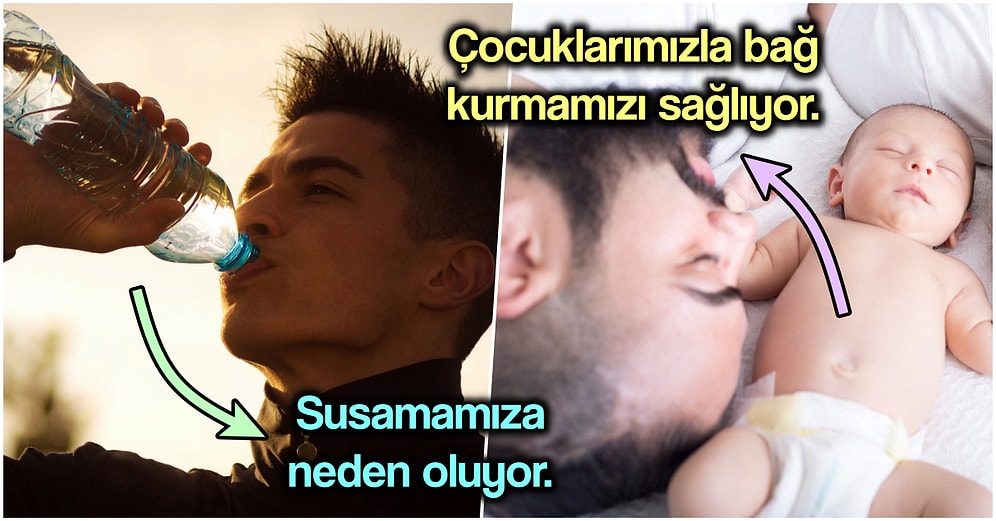 Su Emiliminden Bağlılığa Hayatımıza Bin Bir Etkisi Olan ADH Hormonu Vazopressin’le İlgili Her Şeyi Açıklıyoruz