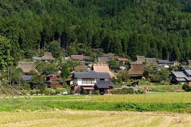 MİYAMA, JAPONYA