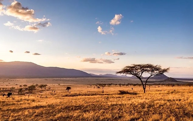 OLERGESAİLİE, KENYA